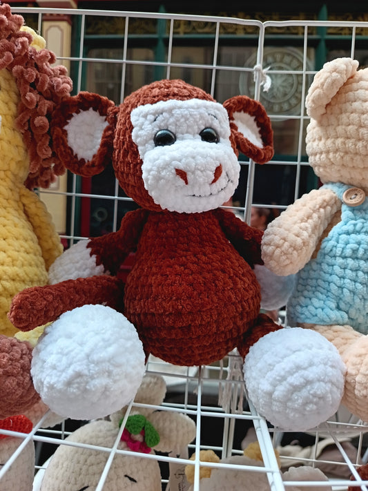 Cute baby Monkey