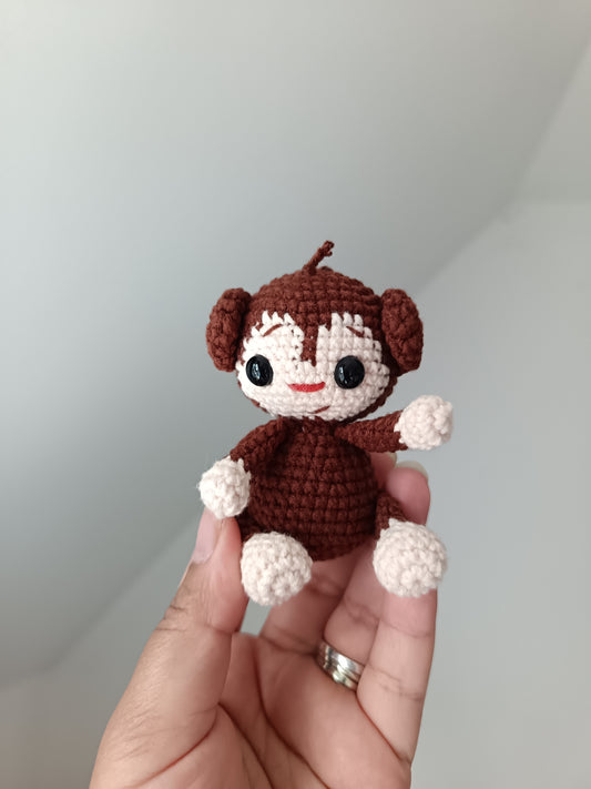 Emotional support mini monkey